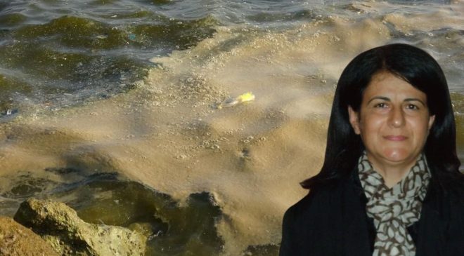 Akdeniz ısınıyor, Mersin alarmda!