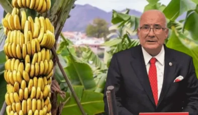 Mersinli muz üreticisinin ithalat tepkisi TBMM gündeminde!