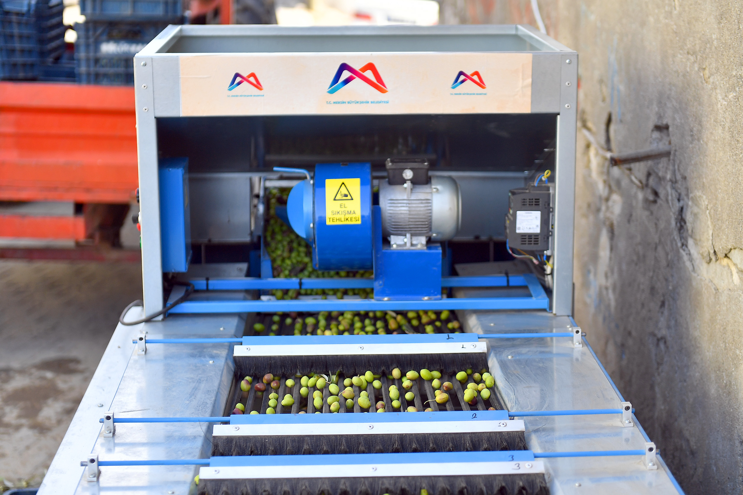 ZEYTİNİ MAKİNE SINIFLANDIRIYOR, ÜRETİCİ KEYFİNE BAKIYOR: