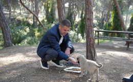 Mezitli Belediye Başkanı Ahmet Serkan Tuncer, 4 Nisan Dünya Sokak Hayvanları Gününü Kutladı