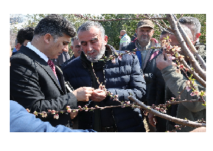 BAŞKAN V. ZEYİT ŞENER, ZİRAİ DONDAN ETKİLENEN ÜRETİCİLERİN YANINDA