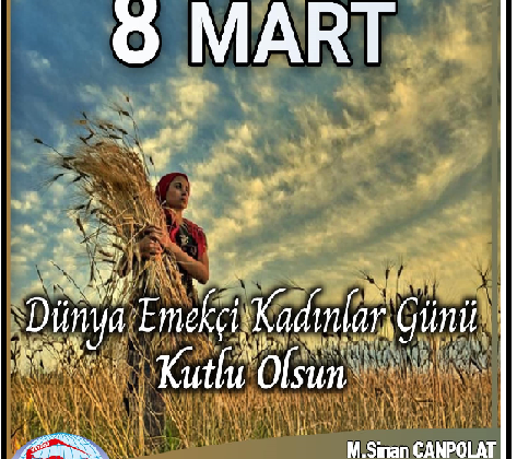 M. Sinan CANPOLAT MERSİN TÜM EMLAKÇILAR ODASI YÖN. KUR. BŞK.DAN ANLAMLI MESAJ