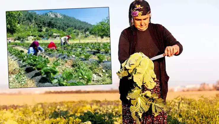 İş göçünün rotası tersine çevrilecek