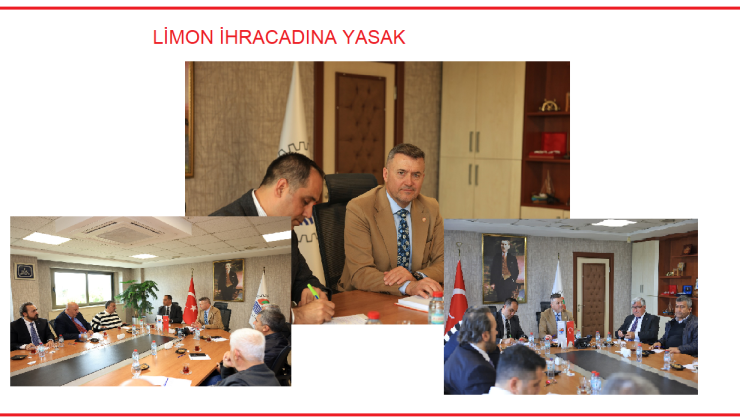 Limon ihracatına yasak, üreticiyi yok eder