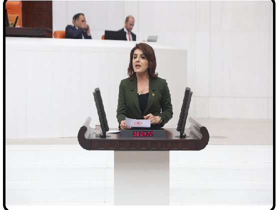 CHP’li Gülcan Kış: “Saray İktidarı Bankaların Kârını Katlıyor”