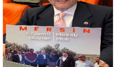 MHP MERSİN MİLLETVEKİLİ DR. LEVENT UYSAL, ORMAN VASFINI YİTİRMİŞ TARIM ARAZİLERİNDE AĞAÇ KESİMLERİNİN DURDURULMASINI İSTEDİ  UYSAL ÇİFTÇİNİN SESİ OLDU: ORMAN VASFINI YİTİRMİŞ ARAZİLER ÇİFTÇİMİZE KİRALANSIN
