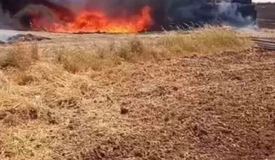 Mardin’de çıkan yangında 25 ton saman ve 300 sulama borusu yandı