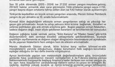 YANAN YANLIZCA ORMANLAR DEĞİL ,KAMUSAL VİCDANIMIZ”