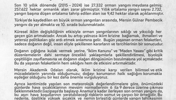 YANAN YANLIZCA ORMANLAR DEĞİL ,KAMUSAL VİCDANIMIZ”