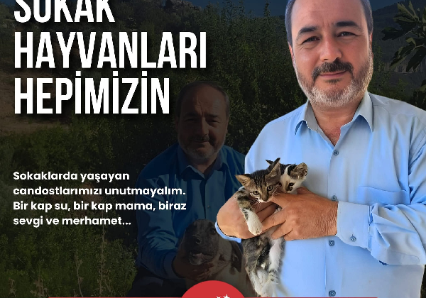 SAADETPARTİSİ SİLİFKE BAŞKANIFERRUH DOĞAN  DİYORKİ; ”SOKAK HAYVANLARI HEPİMİZİN”