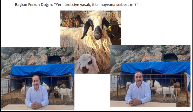Başkan Ferruh Doğan: “Yerli üreticiye yasak, ithal hayvana serbest mi?”