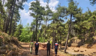 Mersin Jandarma’dan Orman Yangınlarına Karşı Önlem