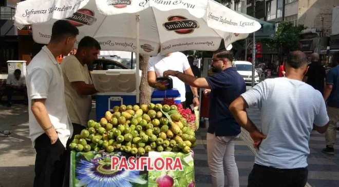 Mersin’de doğada kendiliğinden yetişen dikenli incir, seyyar tezgahlarda yerini aldı. Halk arasında ‘şifa kaynağı’ olarak bilinen bu meyveye yoğun ilgi var. Dikenli incir, tanesi 10 liradan satılıyor.
