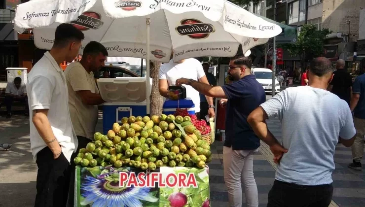 Mersin’de doğada kendiliğinden yetişen dikenli incir, seyyar tezgahlarda yerini aldı. Halk arasında ‘şifa kaynağı’ olarak bilinen bu meyveye yoğun ilgi var. Dikenli incir, tanesi 10 liradan satılıyor.
