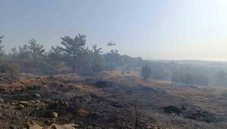 Mersin’deki orman yangını: Havadan müdahale başladı