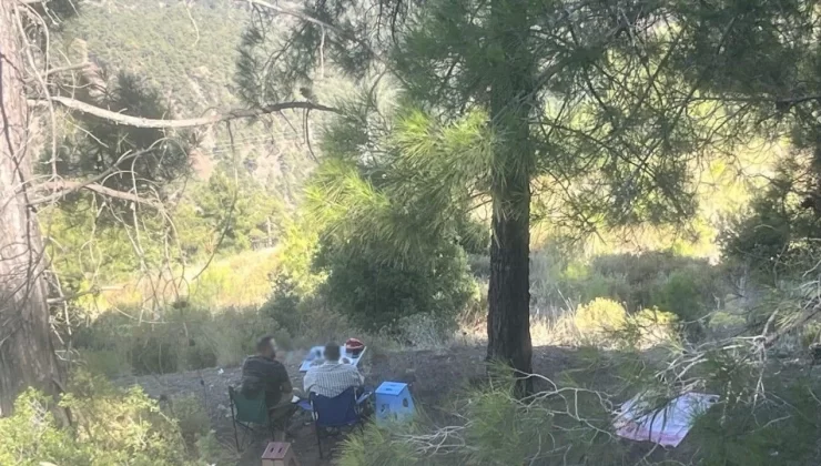 Ormanda piknik yapan 4 şahsa yasal işlem yapıldı