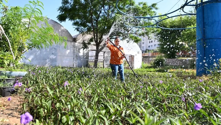 Mersin Yazı Renklerle Karşıladı
