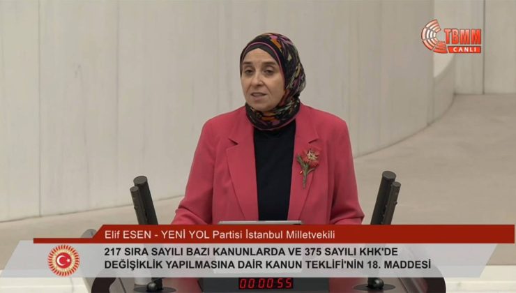 Yeni Yol Milletvekili “En düşük emekli maaşı 35 bin lira olmalıdır” dedi, AKP sıralarından kahkaha atıldı