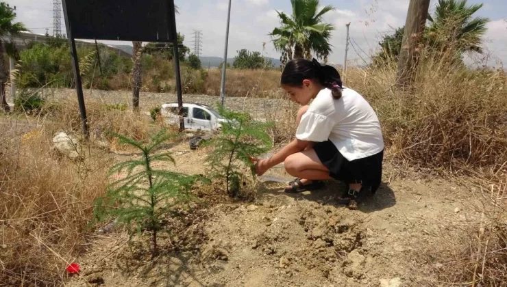 Mersin’de 10 yaşındaki bir kız çocuğu, ’takipçim kadar fidan dikiyorum’ diyrek anlamlı bir adım attı. Ancak diktiği fidanların kısa sürede yok olması küçük kızı üzdü. Küçük kız, “Lütfen diktiğim fidanları sökmeyin” çağrısında bulundu.