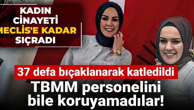 TBMM personelini bile koruyamadılar! 37 defa bıçaklanarak katledildi
