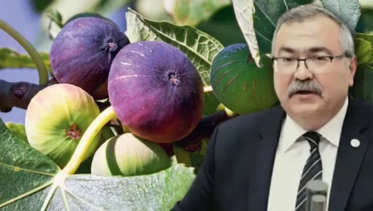 Üretici Zararda, Market Kazanıyor: O Üründe Fiyat Farkı Şaşırtıyor!