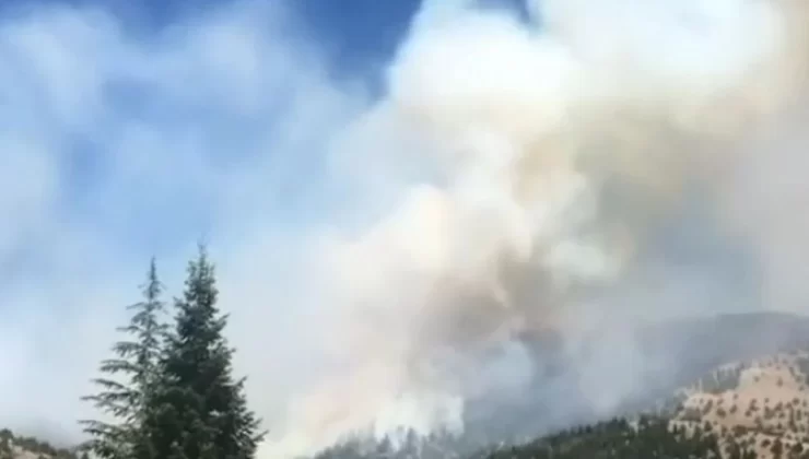 Kahramanmaraş’ta orman yangını