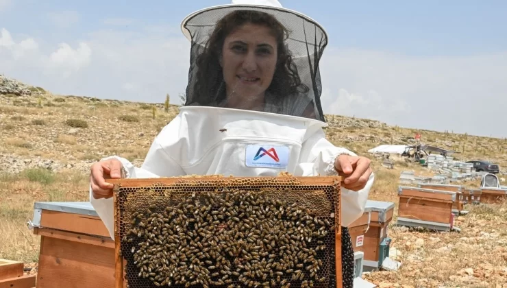 Ataması Yapılmadı, Hayalini Mersin’de ‘Altın Kovan’la Gerçekleştirdi