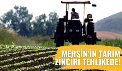 Mersin Ekonomisinde Kritik Uyarı: “Tarım Zarar Görürse Türkiye Zarar Görür”