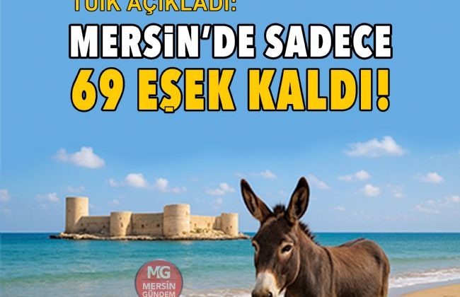 Türkiye genelinde eşek sayısı hızla azalırken, Mersin’de de eşek varlığı tükenmek üzere. Kentte sadece 69 eşek kaldı.