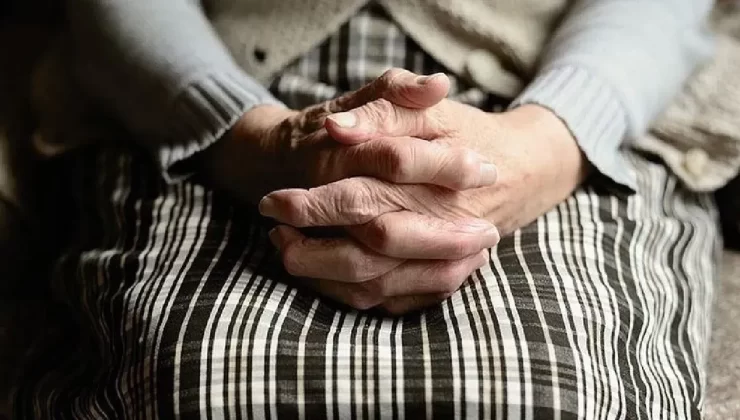 Ucuz Kira ve Huzur Arayan Emeklilerin Gözde 3 İlçesi