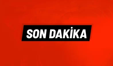 Sayın veliler 2 tane kuduz vakası var. mezitli şuan karantina altına alındı.