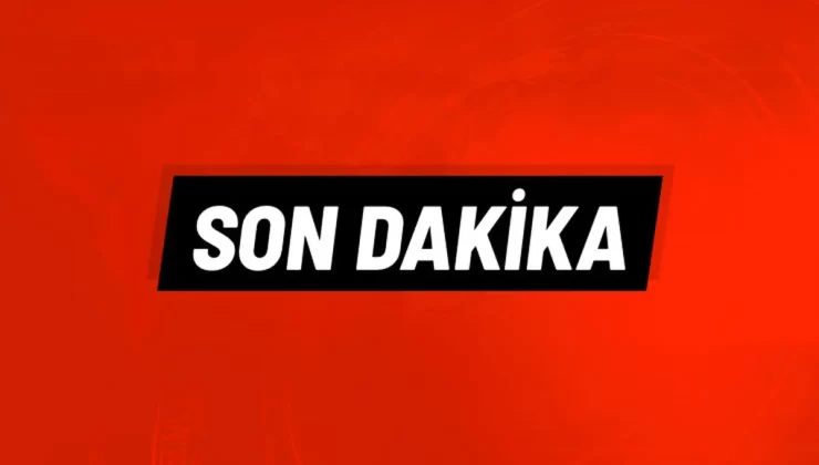 Sayın veliler 2 tane kuduz vakası var. mezitli şuan karantina altına alındı.