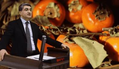 Cennet Hurması İthalatı Mersinli Üreticiyi Perişan Ett