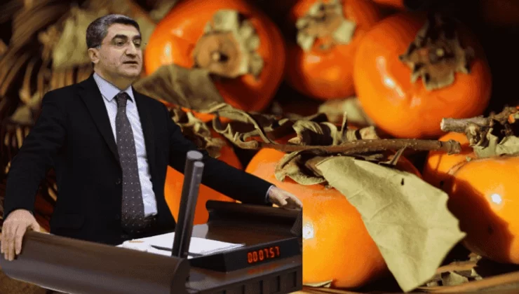 Cennet Hurması İthalatı Mersinli Üreticiyi Perişan Ett