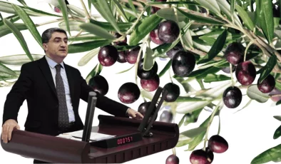 ‘Zeytin Üretici ve İhracatçısı Desteklenmeli’