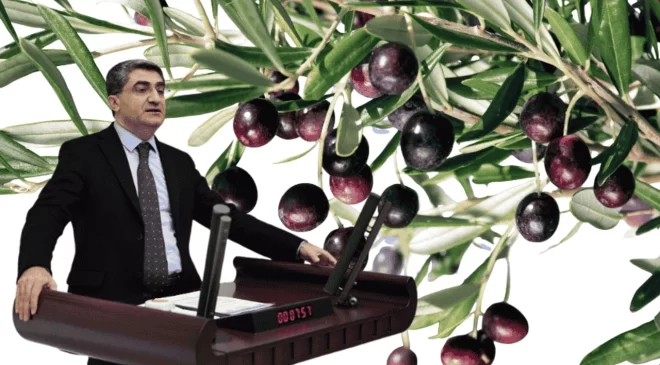 ‘Zeytin Üretici ve İhracatçısı Desteklenmeli’