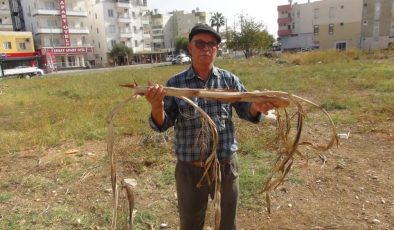 Mühendis bulamadı, o buldu: Silifke’de “suyu hisseden adam”