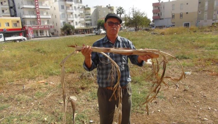 Mühendis bulamadı, o buldu: Silifke’de “suyu hisseden adam”