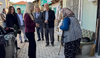 Bayan Kaymakam köy köy dolaşıyor