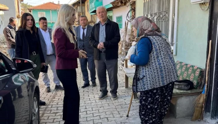 Bayan Kaymakam köy köy dolaşıyor