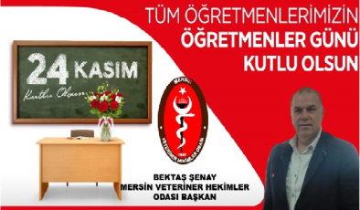 24 kasım öğretmenler günü mesajı