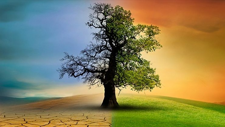 MTSO’da, iklim değişikliğiyle başa çıkmanın yolları arandı