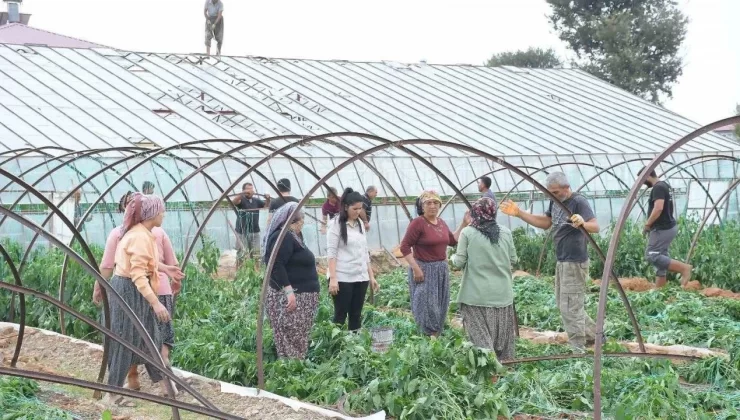 Mersin’de fırtına ve hortum seralara zarar verdi