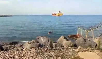 Gemiden denize düşen angus yüzerek karaya ulaştı