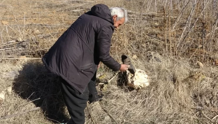 Çamurlu ayakkabısını çıkarıp markette alışveriş yapmıştı: ‘Yine olsa yine yaparım’