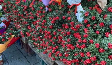 Mersin sokakları kokina ile doldu taştı