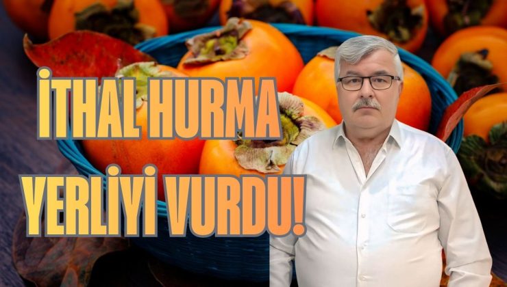 Mersin’de ithal hurma baskısı: Depolarda çürüyen tonlar çiftçiyi uçurumun eşiğine itti