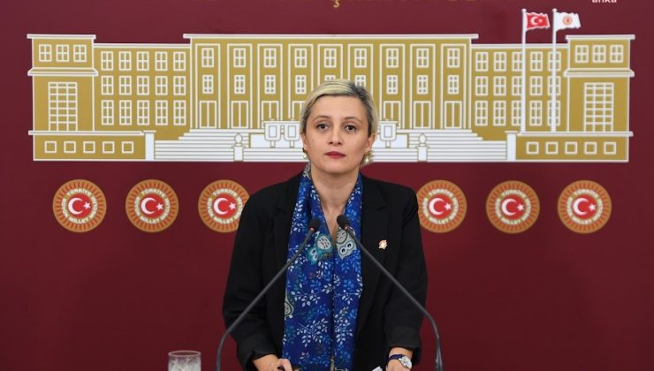 DEM Partili Koca’dan Bakan Yumaklı’ya kritik sorular