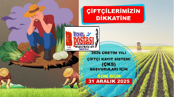 Dikkat Mersin: ÇKS Başvurusu İçin Son Gün!