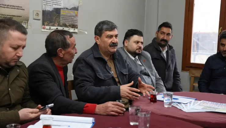 Mersin narenciyesinde pestisit krizi: İhracat tehlikede